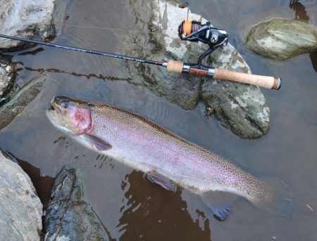 天竜川ルアーフライ専用区